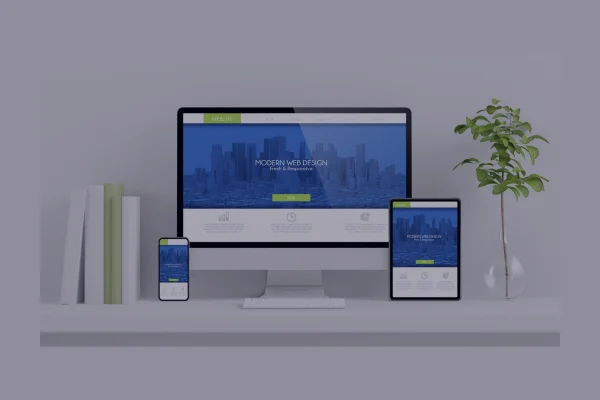 Sofware_sys_contable